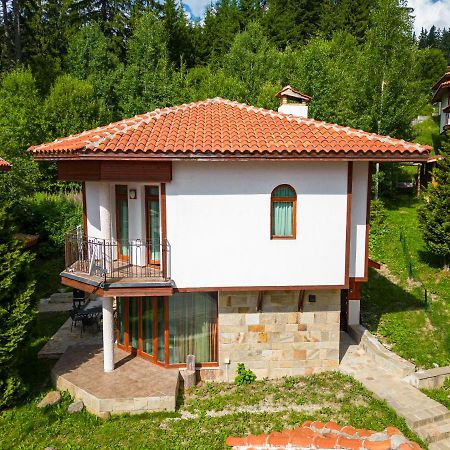 Pamporovo Cottage Savov Экстерьер фото